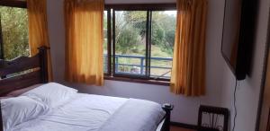 Volcano Panoramic Views