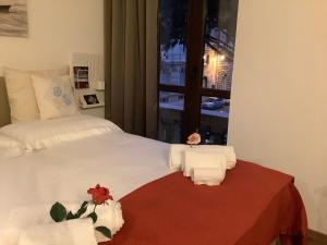 Living Downtown Codice IUN Q4645 img10