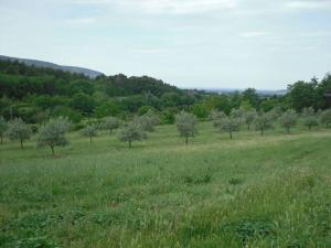 Maisons de vacances Countryside Cottage with above ground pool peaceful surroundings : photos des chambres