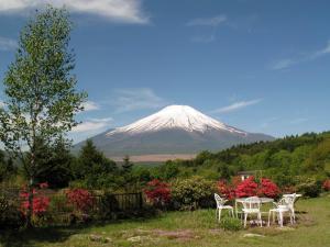 Guesthouse Teatime Cottage Pokhara