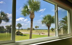 One-Bedroom Apartment room in Tropic Terrace #29 - Beachfront Rental apts