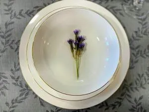 הבית של סתיו - Mishmār Hāyardin