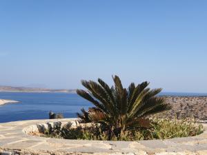 Villa Panorama Irakleia-Island Greece