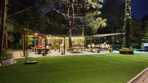 Kasauli Hills Resort