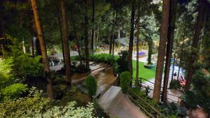 Kasauli Hills Resort