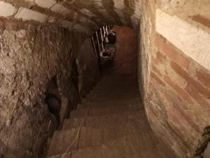 Ubytování u Alfonse Muchy