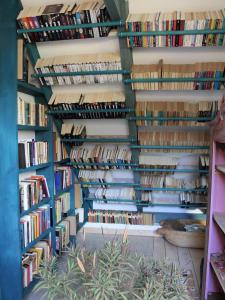 Pod tulipanem nad jeziorem