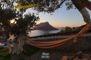 Alexander Suite Home