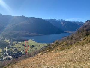 Magical Family Home 84