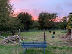 Maisons d'hotes Le Logis de la Chouette : photos des chambres