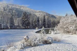 CHALET DES CHARBONNIERS AVEC ETANG - 5 chambres -