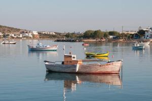 Exohiko Paros Greece