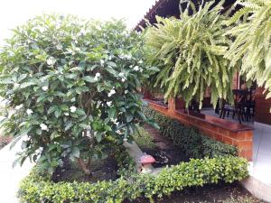 Chalé aconchegante na Serra Pernambucana - Em condomínio - Gravatá