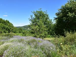 Maisons de vacances Pleasant holiday home in Chaumard with private pool : photos des chambres