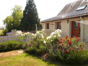 Maisons de vacances Detached holiday home in the Normandy countryside : photos des chambres