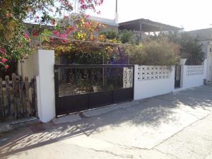 Cozy Citrus Garden House by the Seaside. Andros Greece