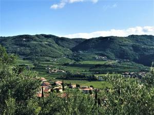 Valpolicella Hills