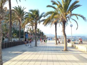 Estudio Playa Muchavista