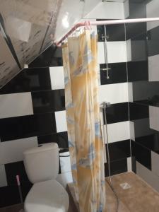 Ізківський затишок" село Ізки