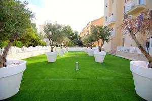 Apartamentos Sol y Luz