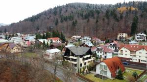 Pensiunea Public House