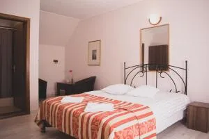 Pensiunea Castel - 蒂米苏尔德约斯