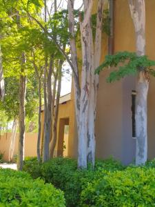 The Leopard Tree Polokwane 2021 Updated Prices Deals