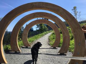 Appartementhaus Bergblick