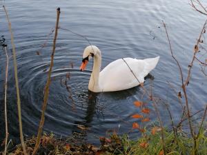 Studios Park - Heverlee