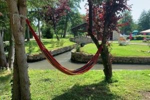 Maisons de vacances Le domaine du Lac : photos des chambres