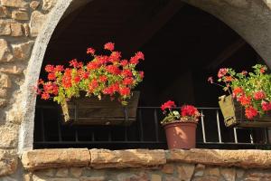 Casa con piscina y vistas a montaña - Cal Solsona