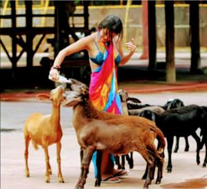 Olimpia Park Resort - Resort em Olímpia