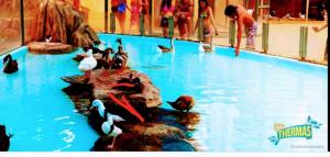 Olimpia Park Resort - Resort em Olímpia