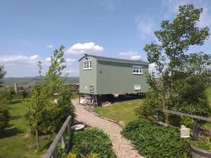 The Buteland Stop Rosie off grid Shepherds Hut - Corsenside