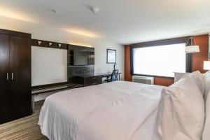 Holiday Inn Express & Suites Allen Park by IHG