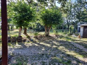 Maisons de vacances L'ete pres de la Loire - Gite dans le parc d'une maison ancienne : photos des chambres