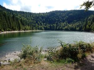 Chalets Cosy chalet in Li zey with countryside views : photos des chambres