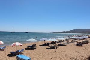 SOFIA 1 Messinia Greece