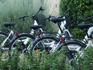 5 Lasserre photo 15