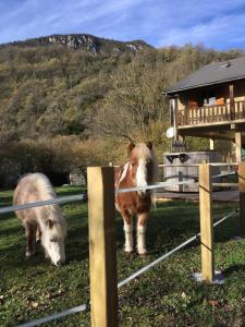 Maisons de vacances Les MARMOTTES grand gite avec bain nordique privatif : photos des chambres