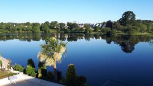 Mirabelle photo 6
