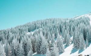 Dream Milmari L12 Apartman