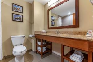 King Room - Non-Smoking room in Comfort Inn & Suites Orangeburg