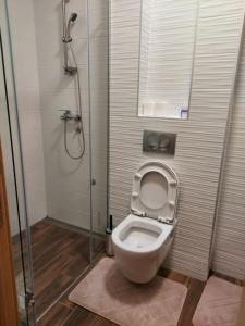 Apartman Virić