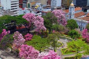 Luxury Apartment in Ibague N°2