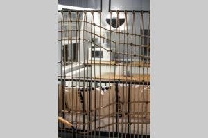 Marvellous Attic Studio in the Old Town