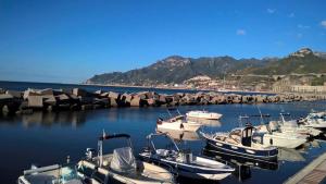 Holiday Comfort & Design