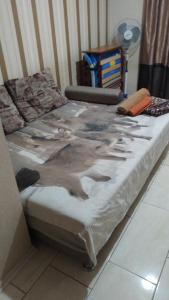 Алексеевские акварели..