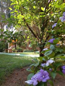 Recanto das Flores Lofts - Ilha Grande Rj