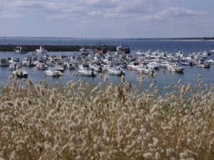 Maisons de vacances Cosy holiday home with terrace and garden near Quimperl : photos des chambres